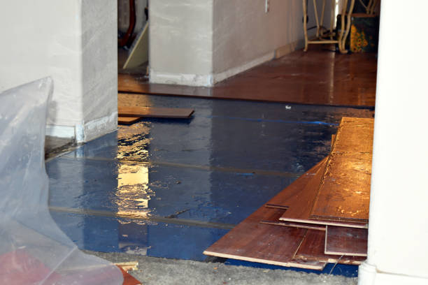 Professional Sewage Cleanup technician working in Harsens Island, MI