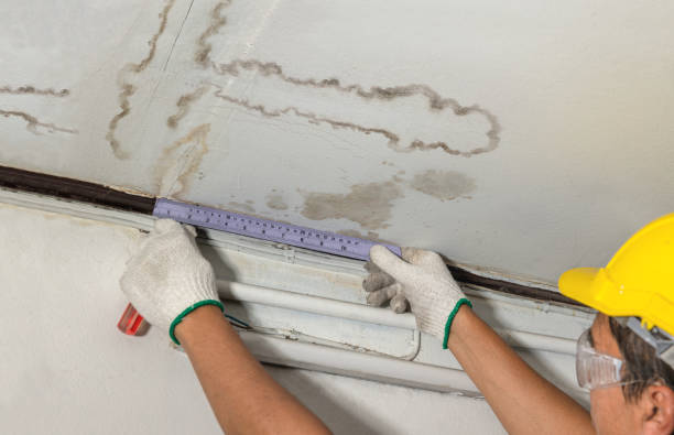 Reliable Sewage Cleanup contractor in Harsens Island, MI by Water Damage Irwin